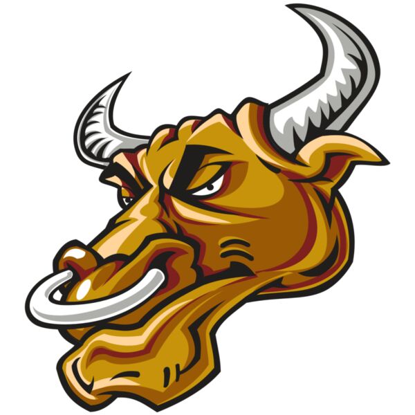 BULL HD0502 RQC Thumbnail