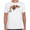 Mens Softstyle Tee Shirt Thumbnail